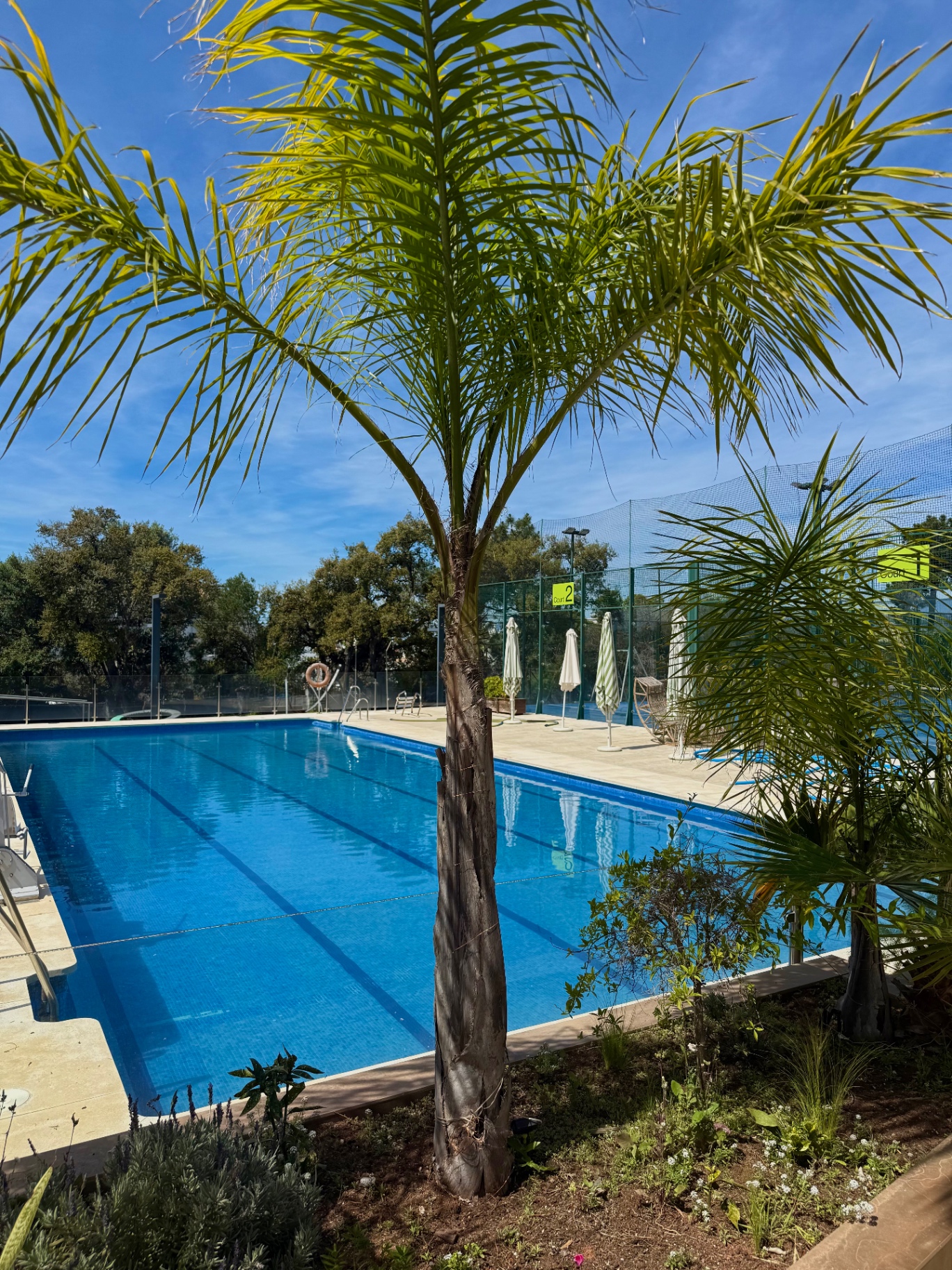 Basen i strefa relaksu Royal Tennis Club Marbella